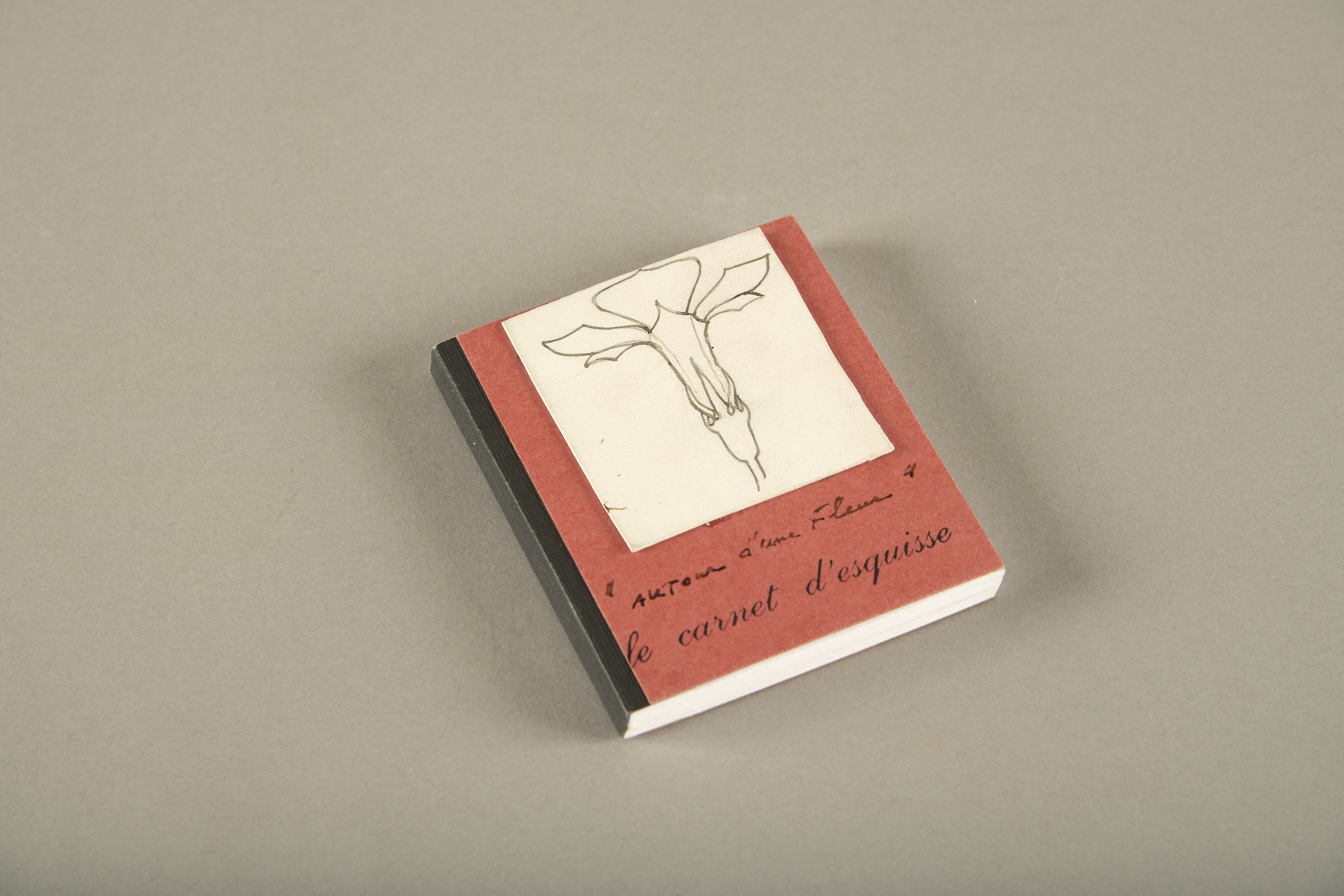 Autour d'une fleur ; Carnet de dessins (titre d'usage), Geneviève Asse, 1995