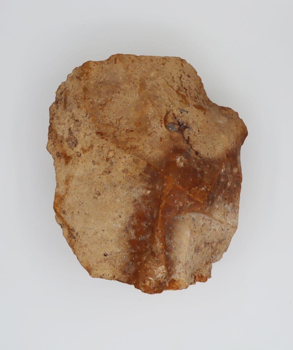 Nucleus (lot, 2), nucleus à lames, nucleus à éclat_6