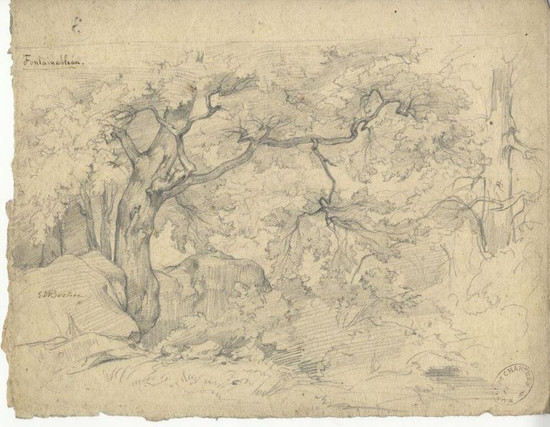 Fontainebleau, Édouard Bertin