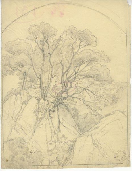 Paysage d'Italie (arbres sur des rochers), Édouard Bertin