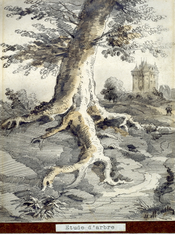 Étude d’Arbre, Louis Moullin, 19e siècle
