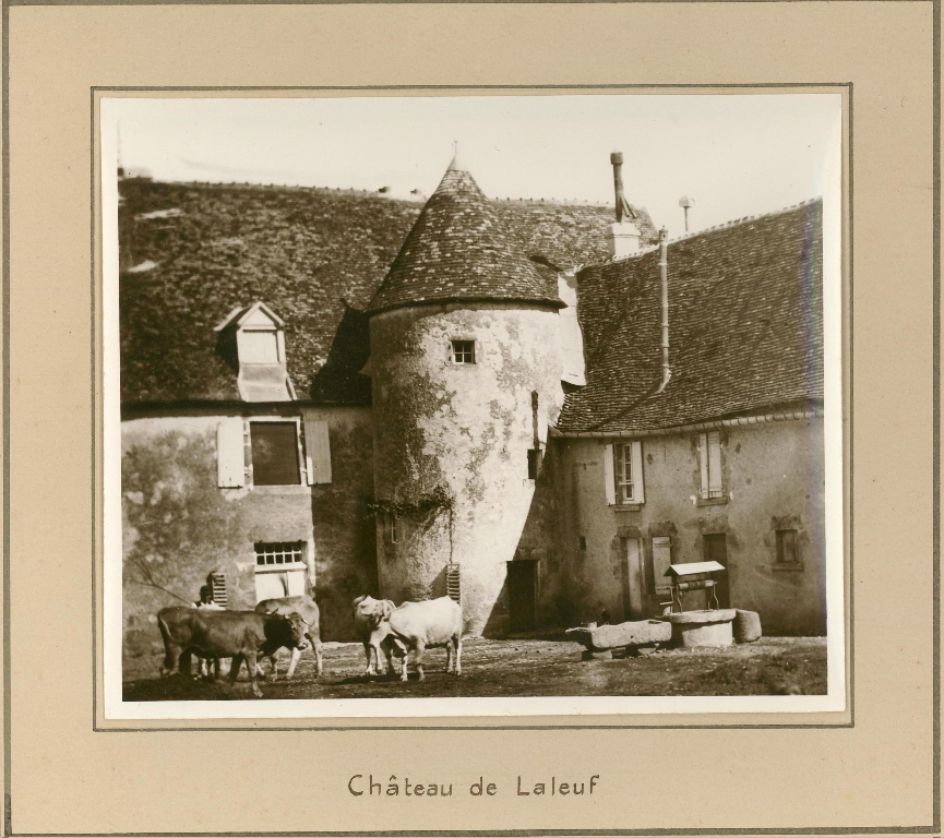 Château de Laleuf (Indre)_0