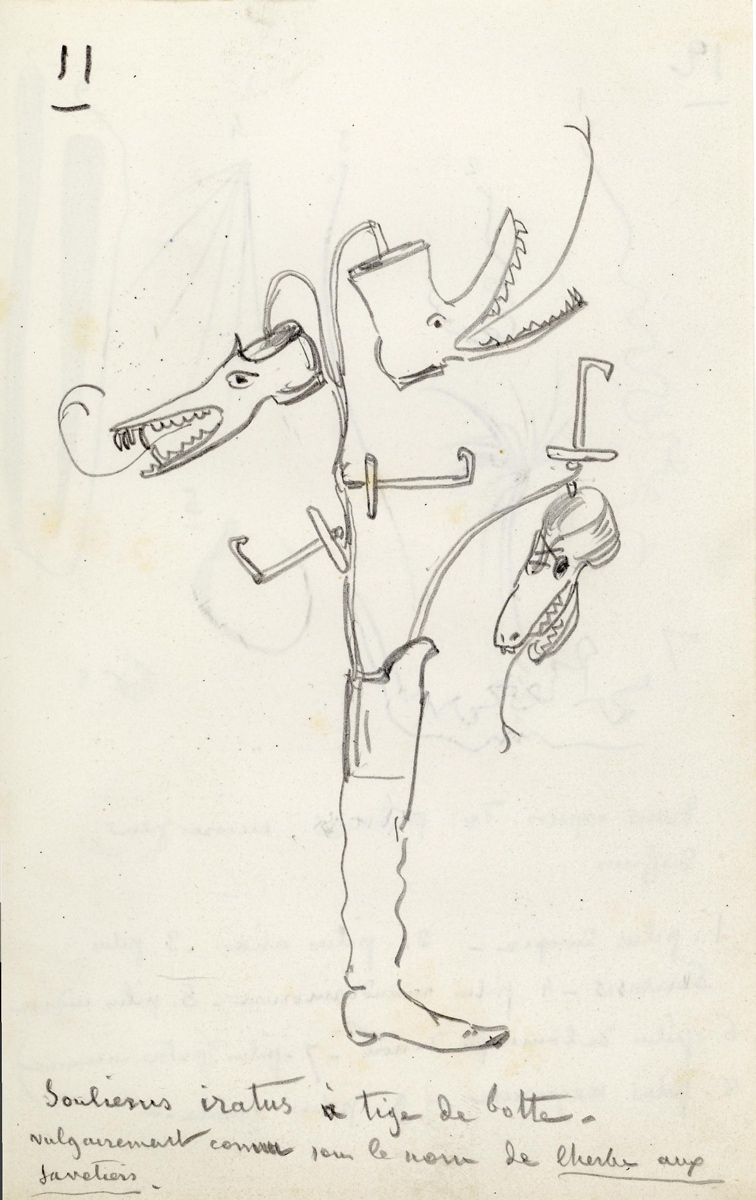 Dessins, Maurice Sand, Avant 1889