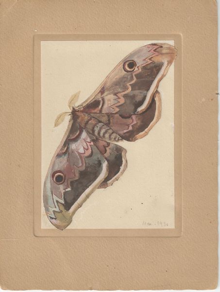 Papillon, Jean-Louis Boncoeur, 1930