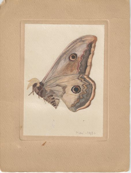 Papillon, Jean-Louis Boncoeur, 1930