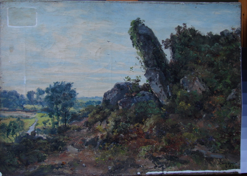 Etude de roches et d’ajoncs près le bac au Port Ru._0