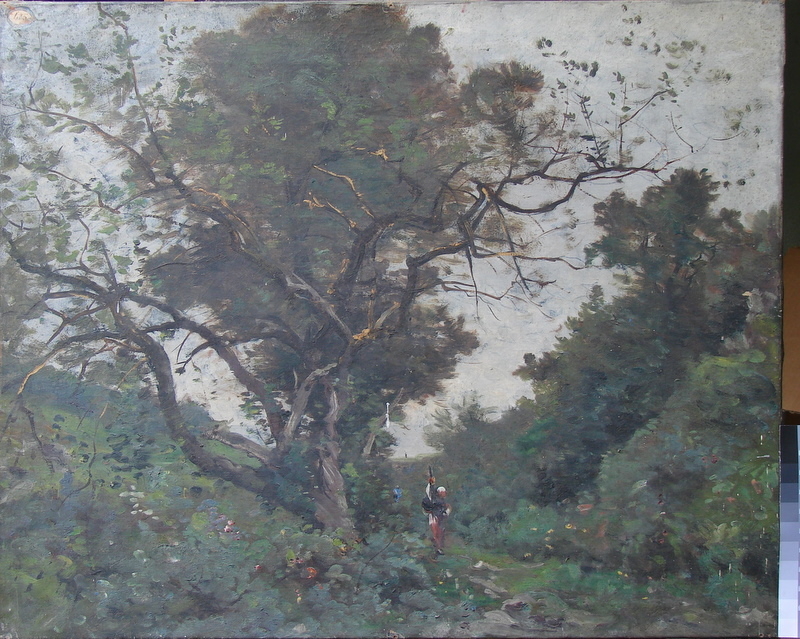 Dans le Vallon du Crapeux, Carolles._0