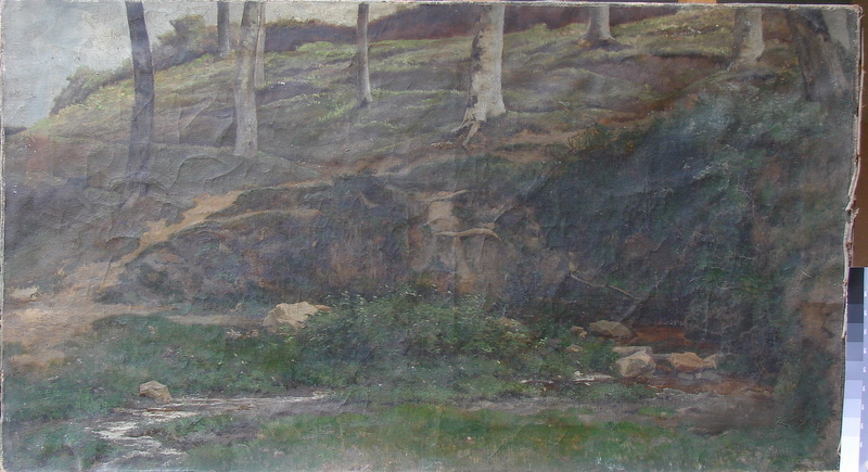 Une source Douarnenez derrière Plomarc'h._0