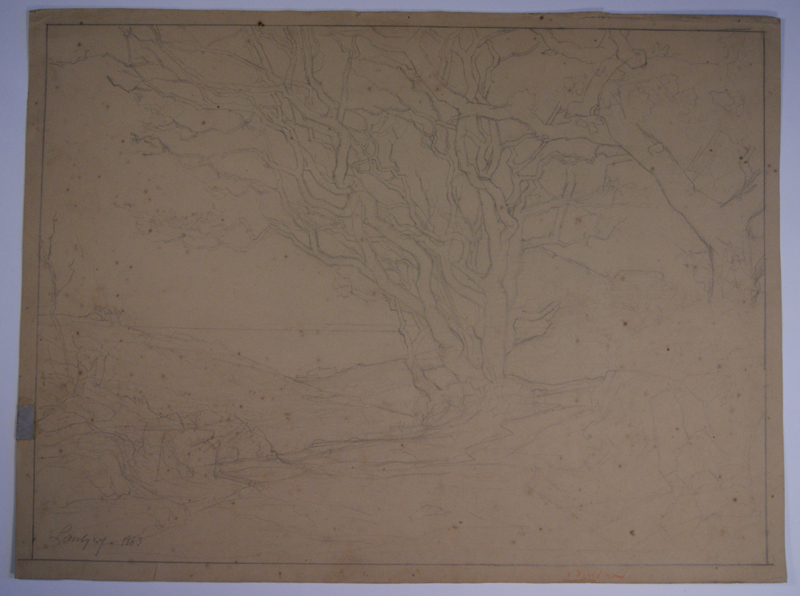 Dessin inachevé d’un groupe d’arbres tordus et penchés par le vent de mer. (Titre inscrit)_0
