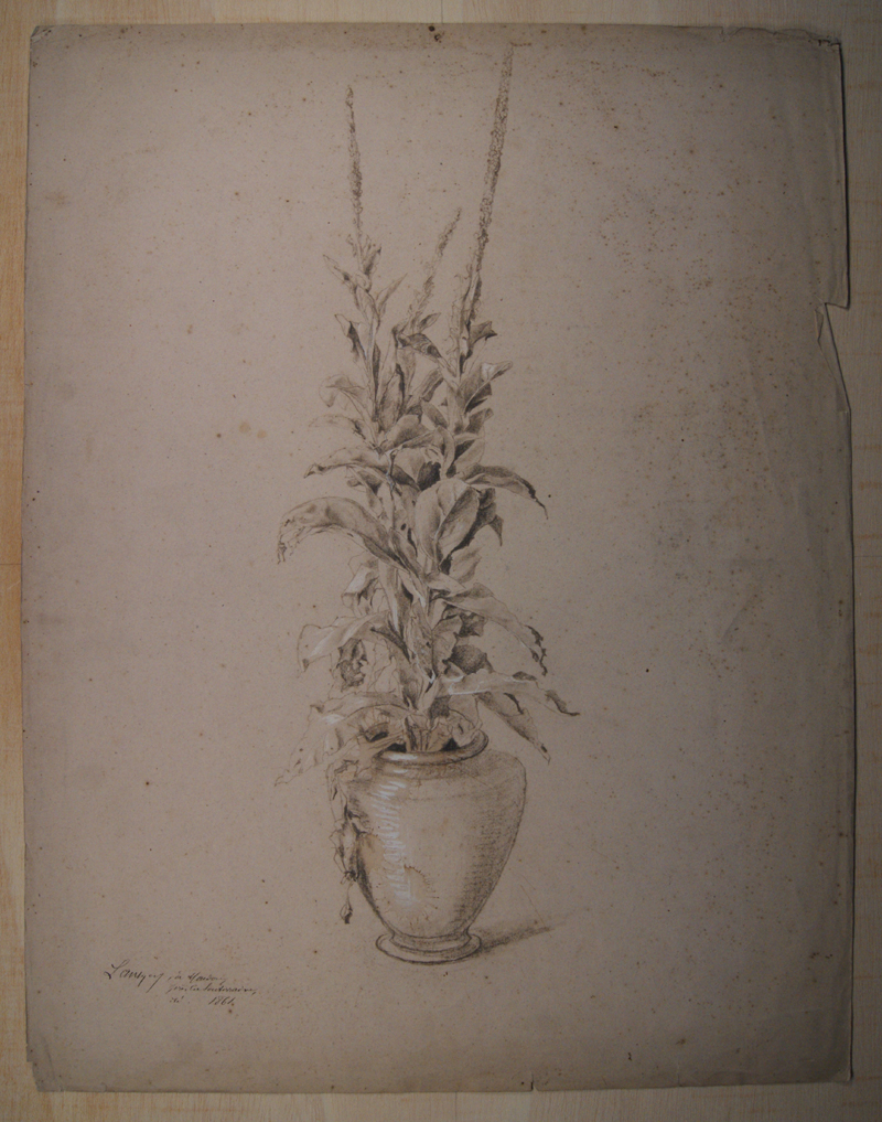 Etude de bouillon blanc faite à Mondon près la Souterraine. (Titre inscrit), Emmanuel Lansyer, 1861