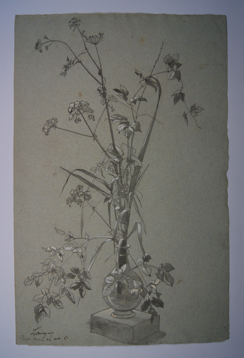 Ombellifère et houblon (Pont-Aven). (Titre inscrit)_0