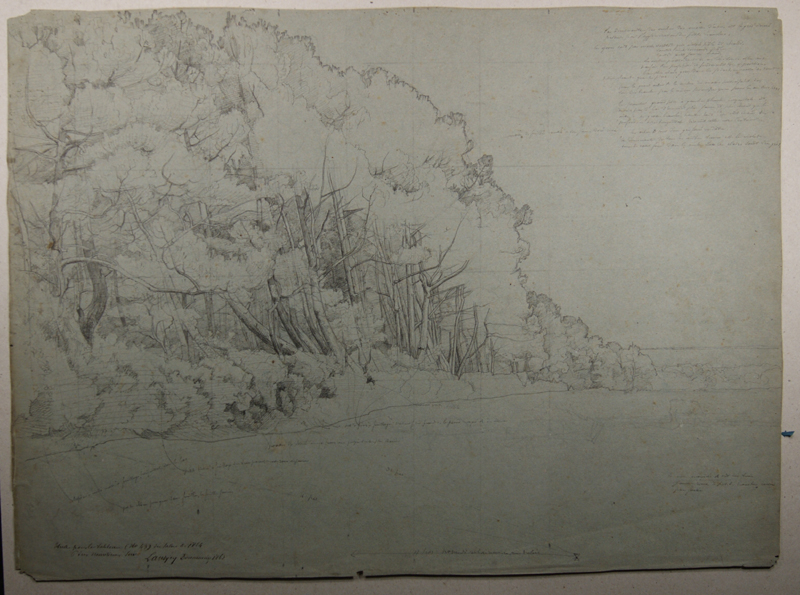Etude pour le tableau n°43 “Pins maritimes soir” du Salon de 1864. (Titre inscrit), Emmanuel Lansyer, 1863