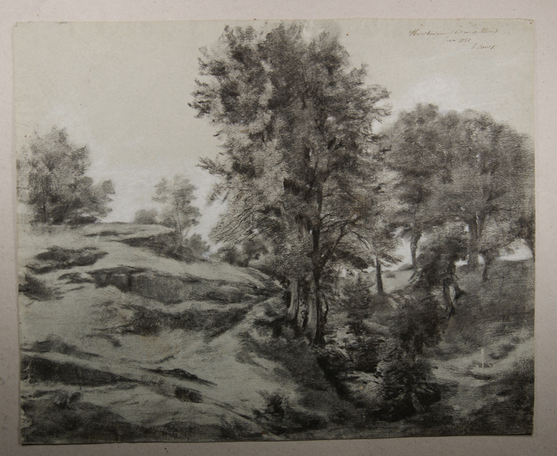 Arbres à Montaigu près de Genillé (Indre-et-Loire). (Titre inscrit), Emmanuel Lansyer, 1861
