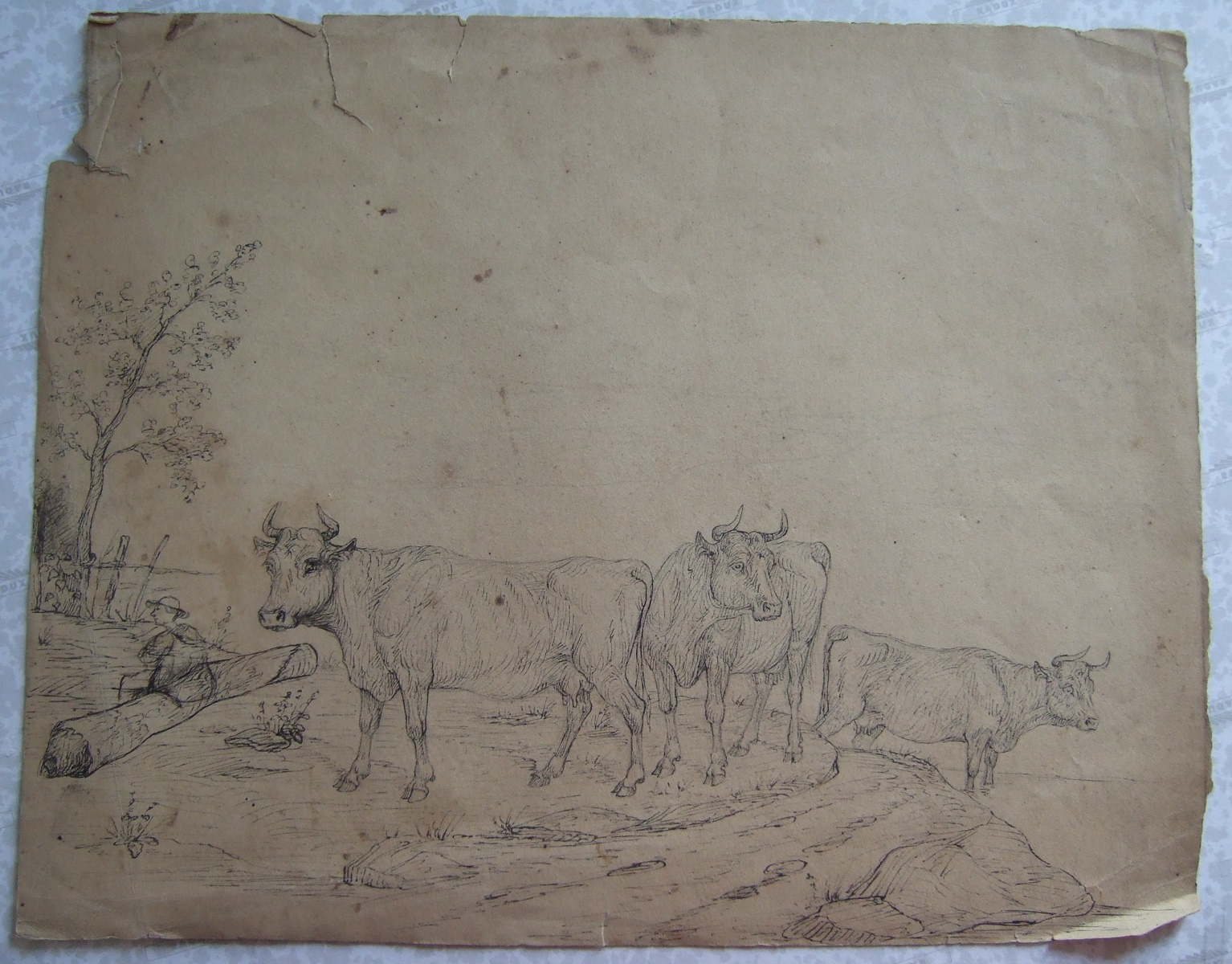 Trois vaches et un vacher assis sur un tronc d'arbre. (titre factice), Brivet, 19e siècle
