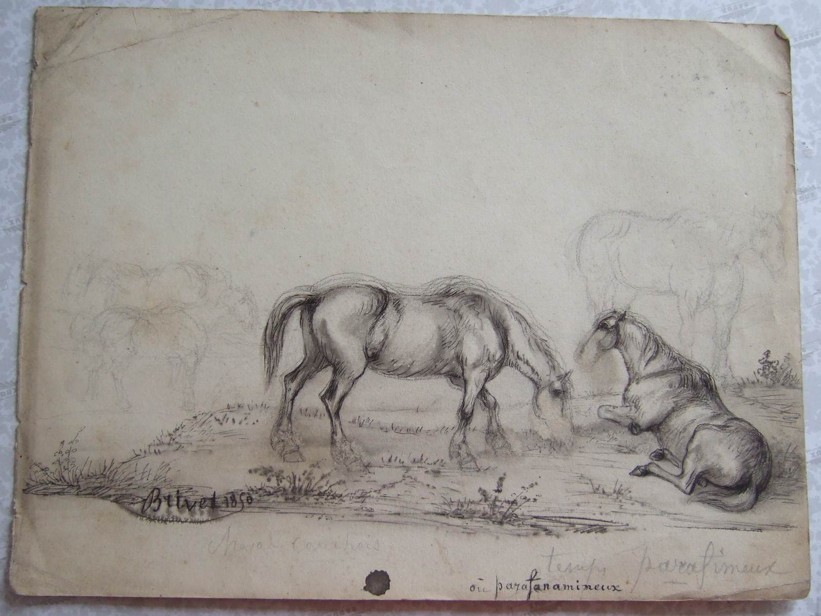 Deux chevaux, dont un qui broute. (titre factice), Brivet, 1850