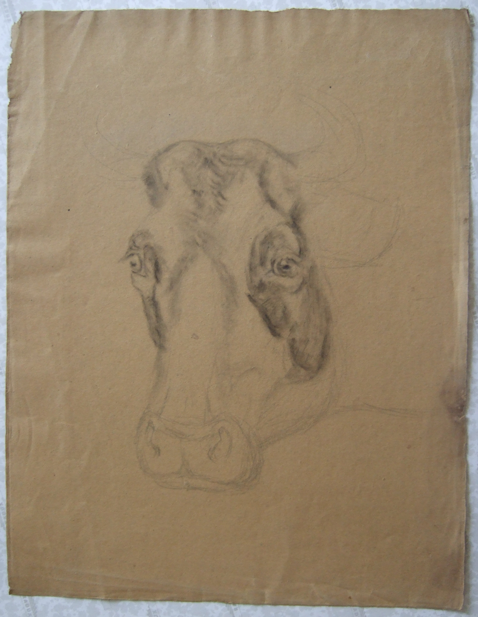 Esquisse de tête de vache. (titre factice), Brivet, 19e siècle