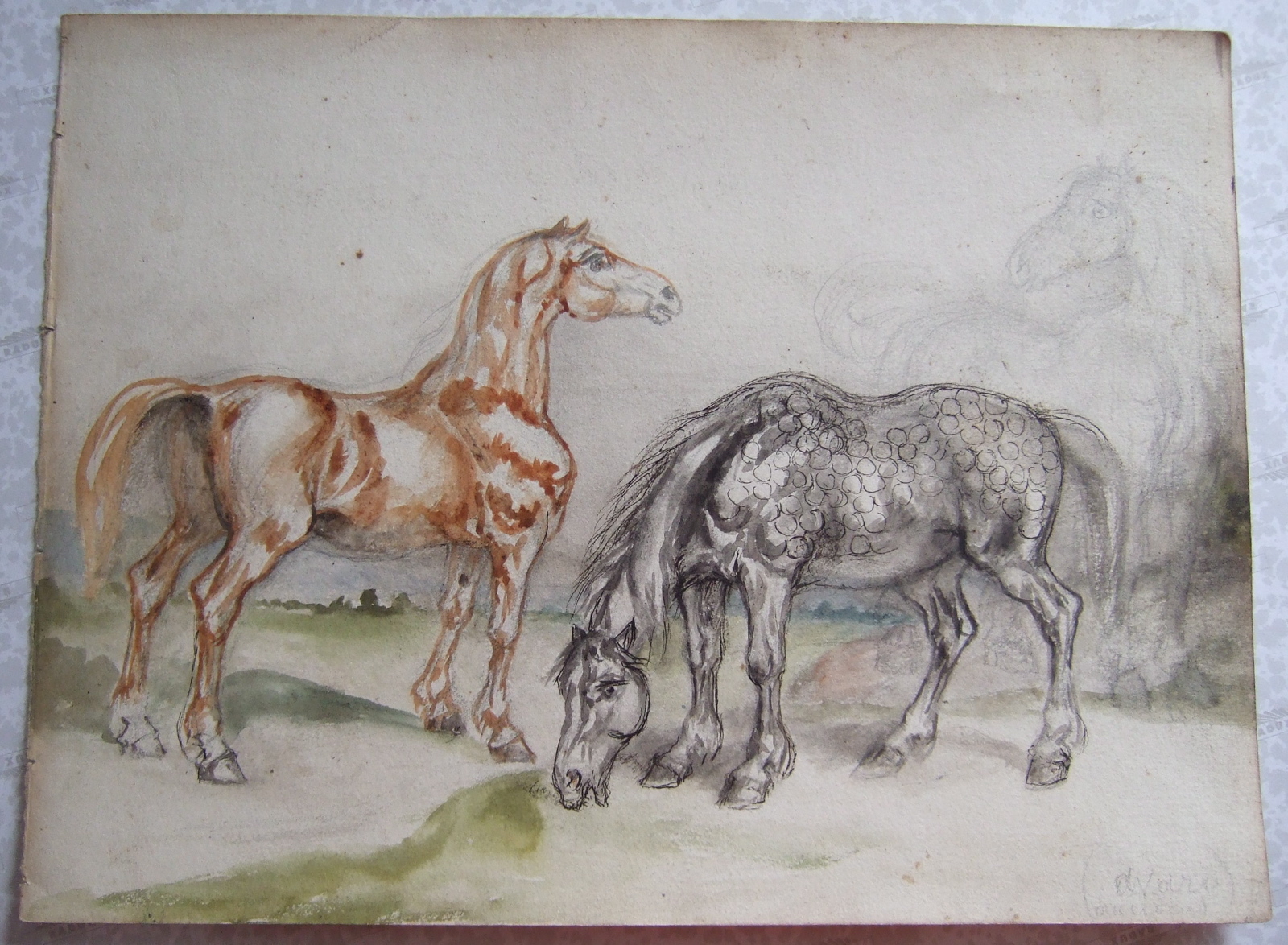 Cheval gris pommelé et cheval alezan. (titre factice)_0