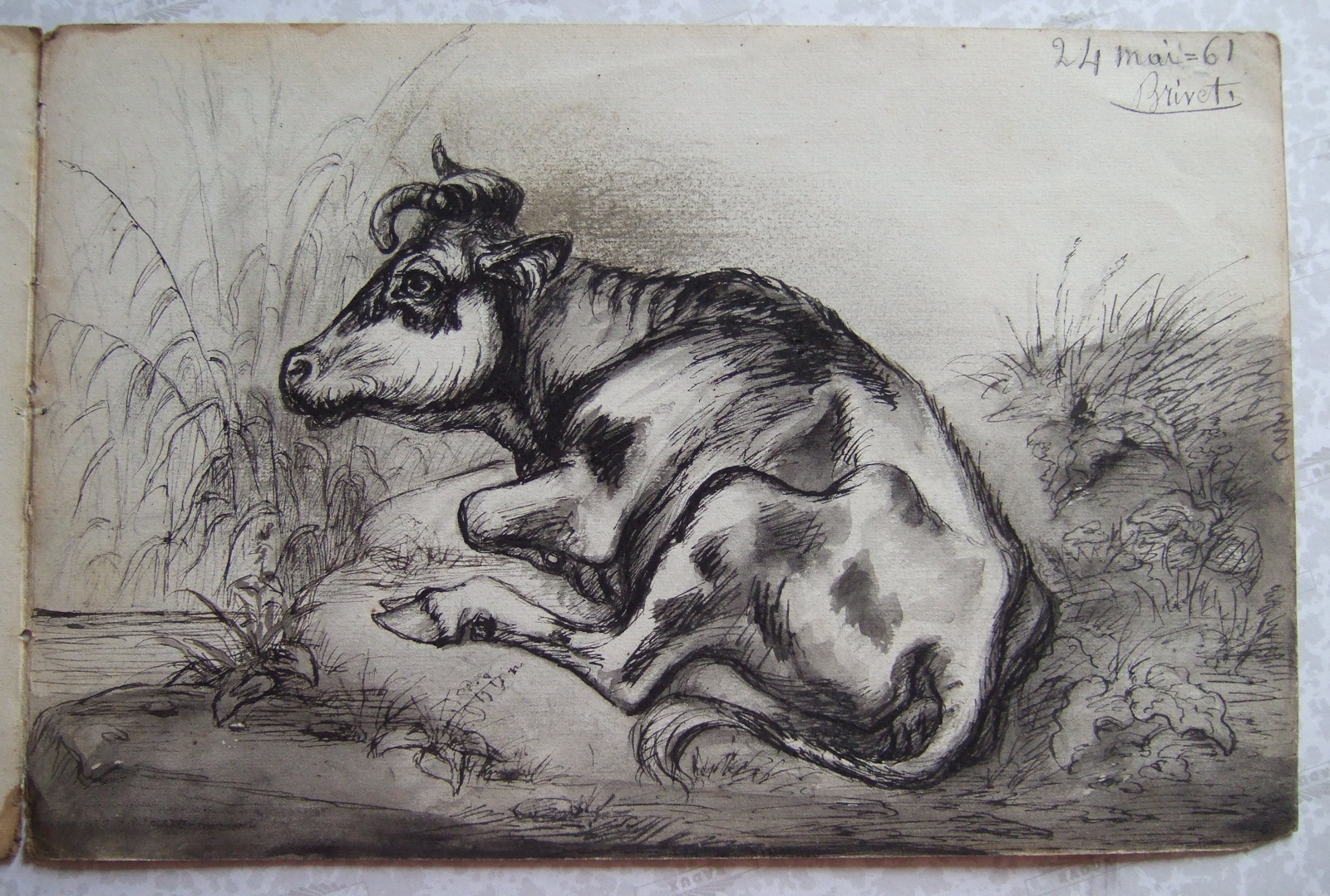 Vache couchée près d'un étang. (titre factice), Brivet, 1861 24 mai