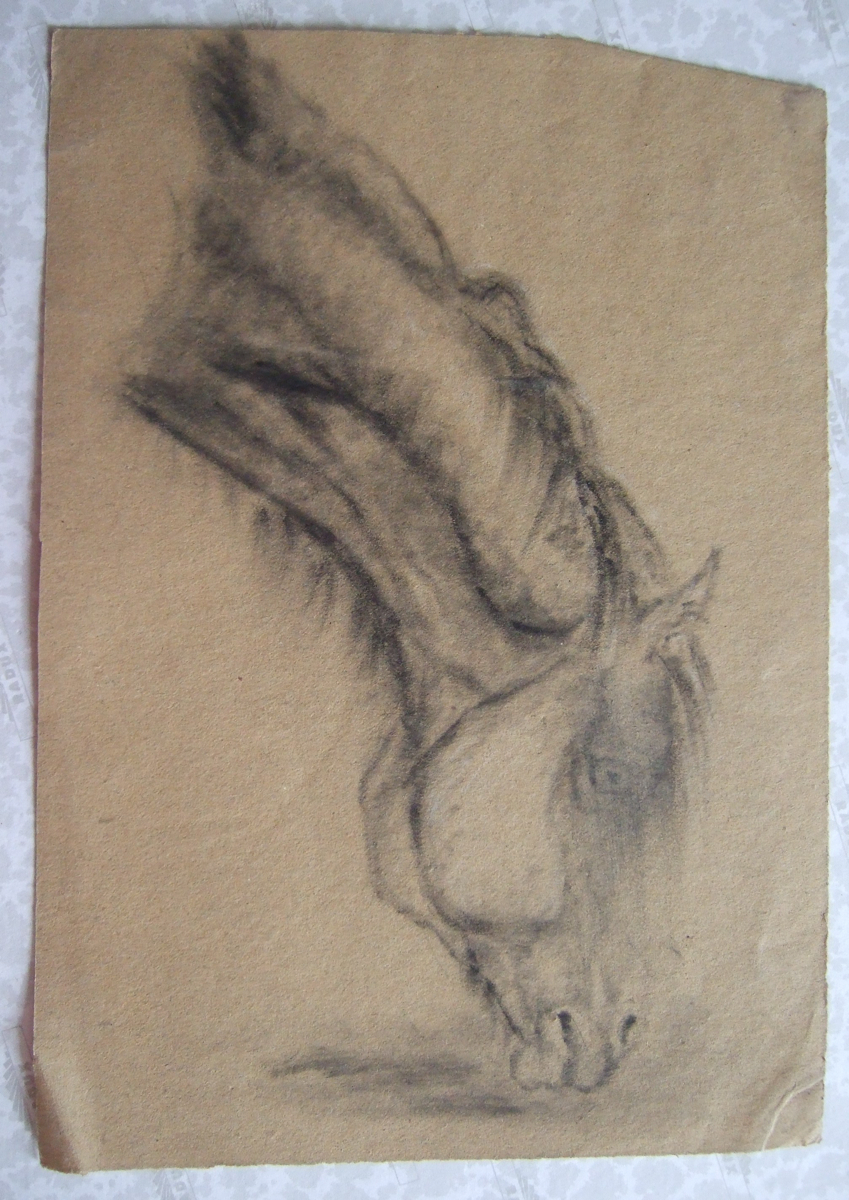 Tête de cheval broutant. (titre factice), Brivet, 19e siècle