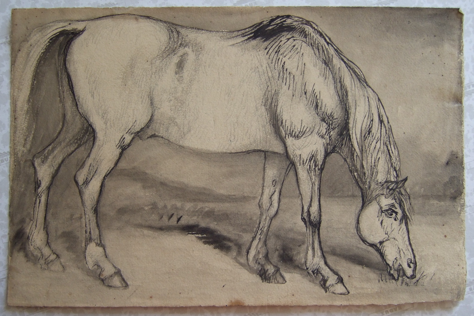 Ci-contre une balzane postérieure droite. (titre inscrit), Brivet, 19e siècle