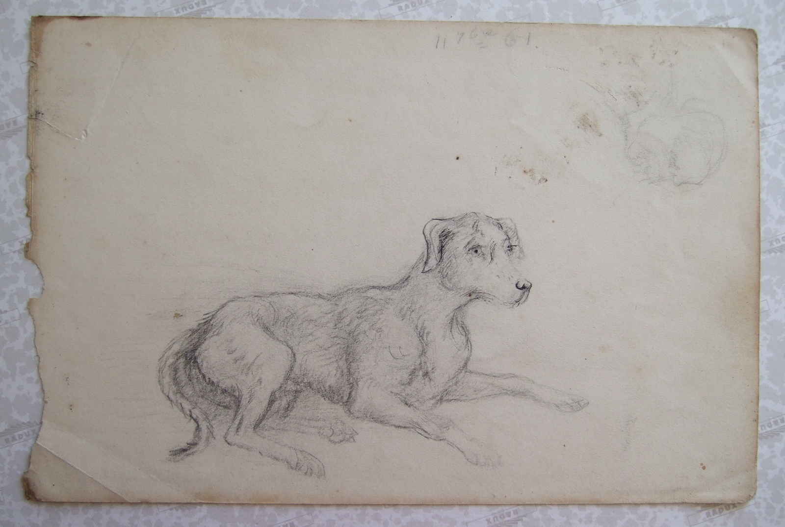 Chien couché. (titre factice), Brivet, 1861 17 septembre