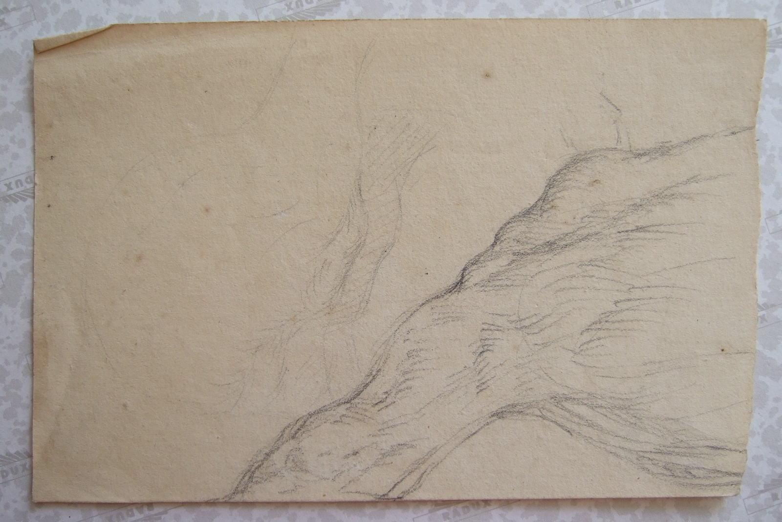 Partie d'une étude de jambe de cheval. (titre factice), Brivet, 19e siècle