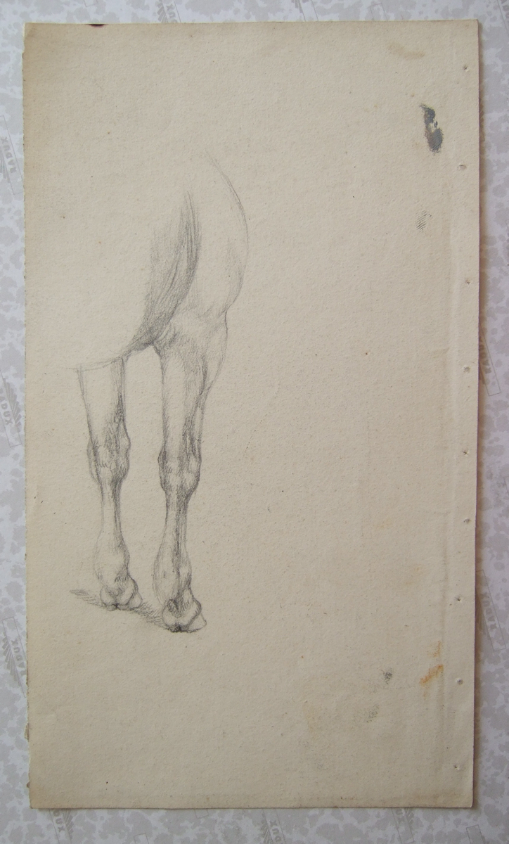 Antérieurs de cheval. (titre factice), Brivet, 19e siècle