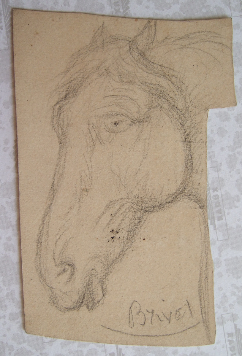 Tête de cheval. (titre factice), Brivet, 19e siècle