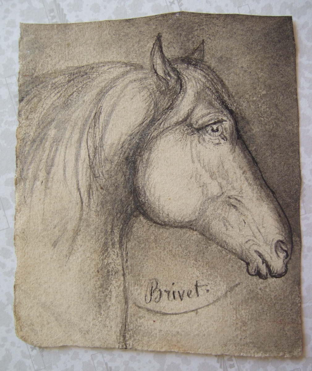 Tête de cheval. (titre factice), Brivet, 19e siècle