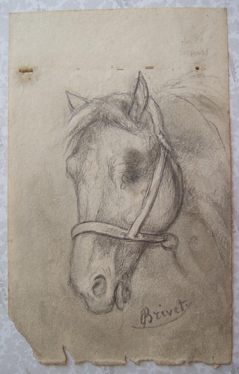 Tête de cheval. (titre factice), Brivet, 19e siècle