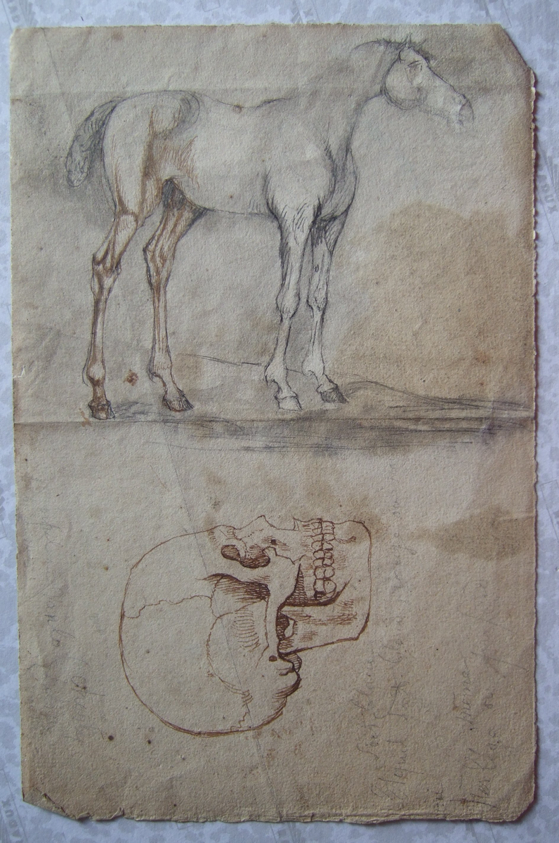 Cheval et tête de mort. (titre factice), Brivet, 19e siècle