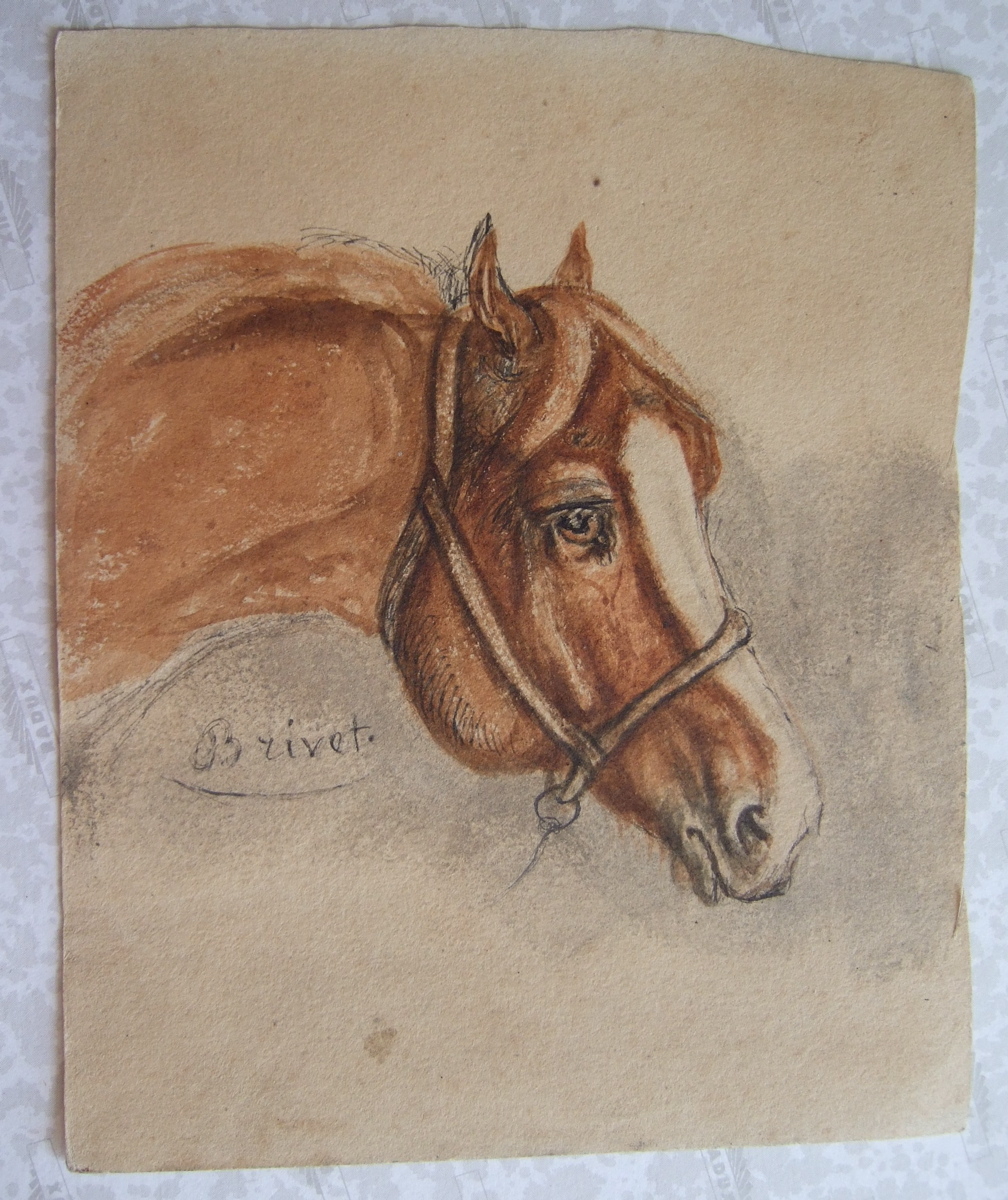Tête de cheval alezan. (titre factice), Brivet, 19e siècle