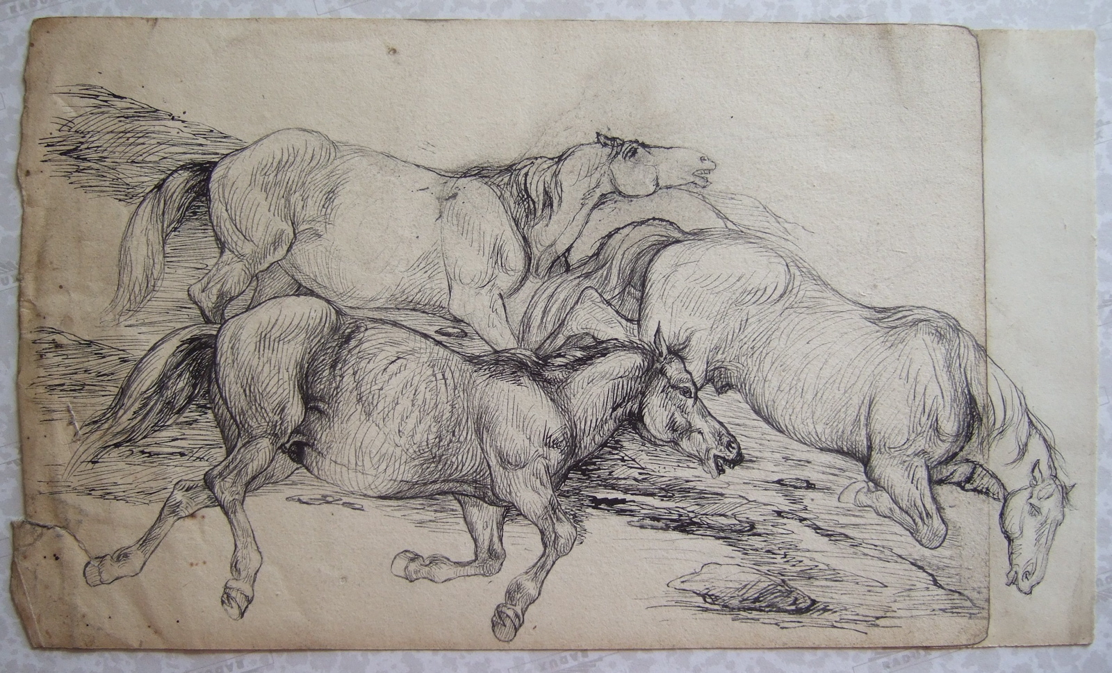 Trois chevaux galopant. (titre factice), Brivet, 19e siècle