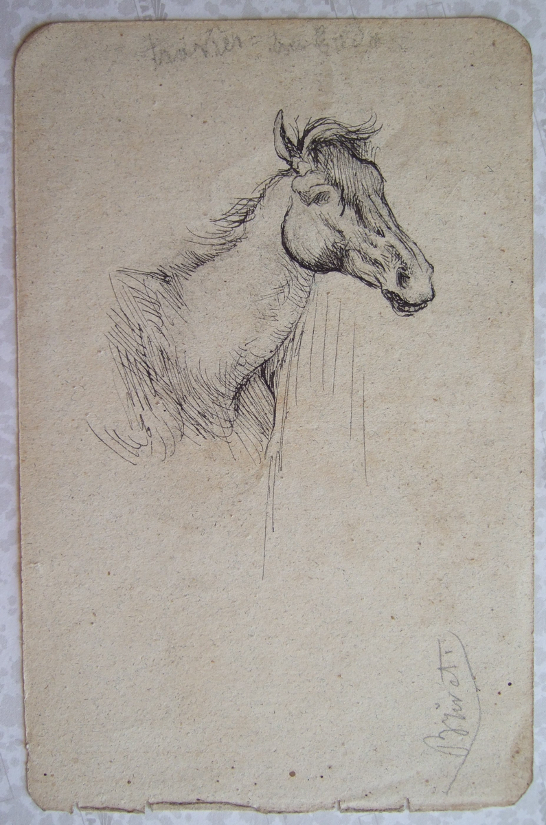 Tête de vieux cheval. (titre factice), Brivet, 19e siècle