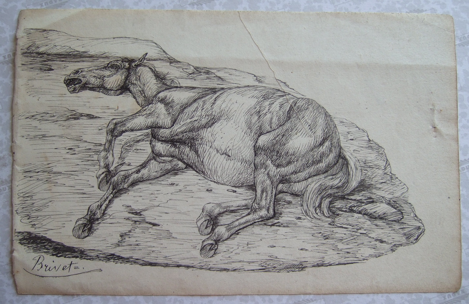Cheval couché. (titre factice), Brivet, 19e siècle