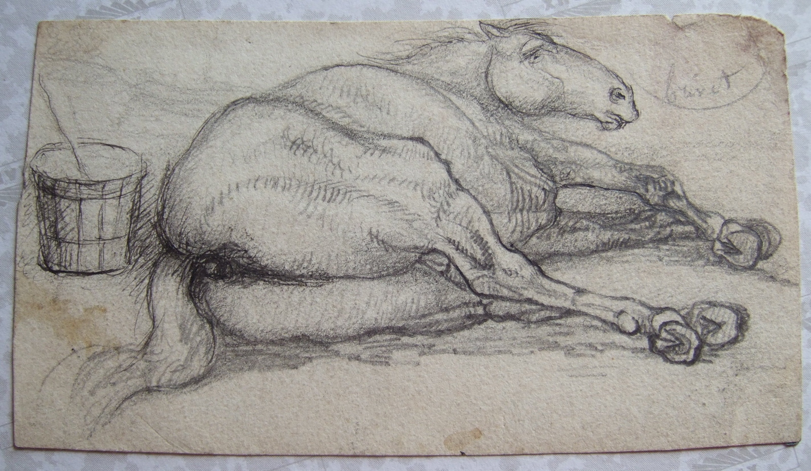 Cheval couché, un baquet de bois sur sa gauche. (titre factice), Brivet, 19e siècle