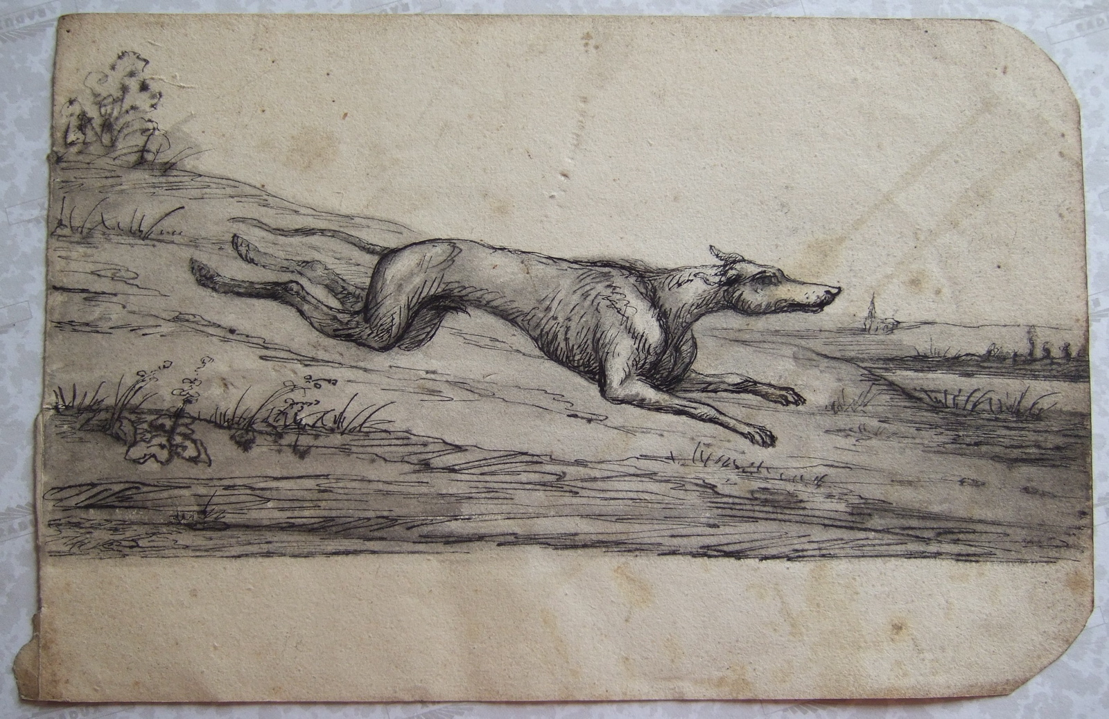 Chien courant. Clocher d'église dans le lointain. (titre factice)_0