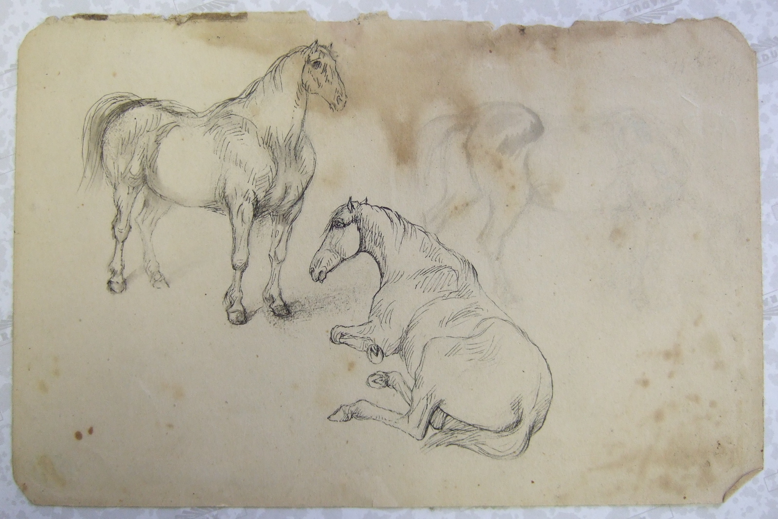 Trois chevaux, deux debout et un couché. (titre factice), Brivet, 1850 14 octobre