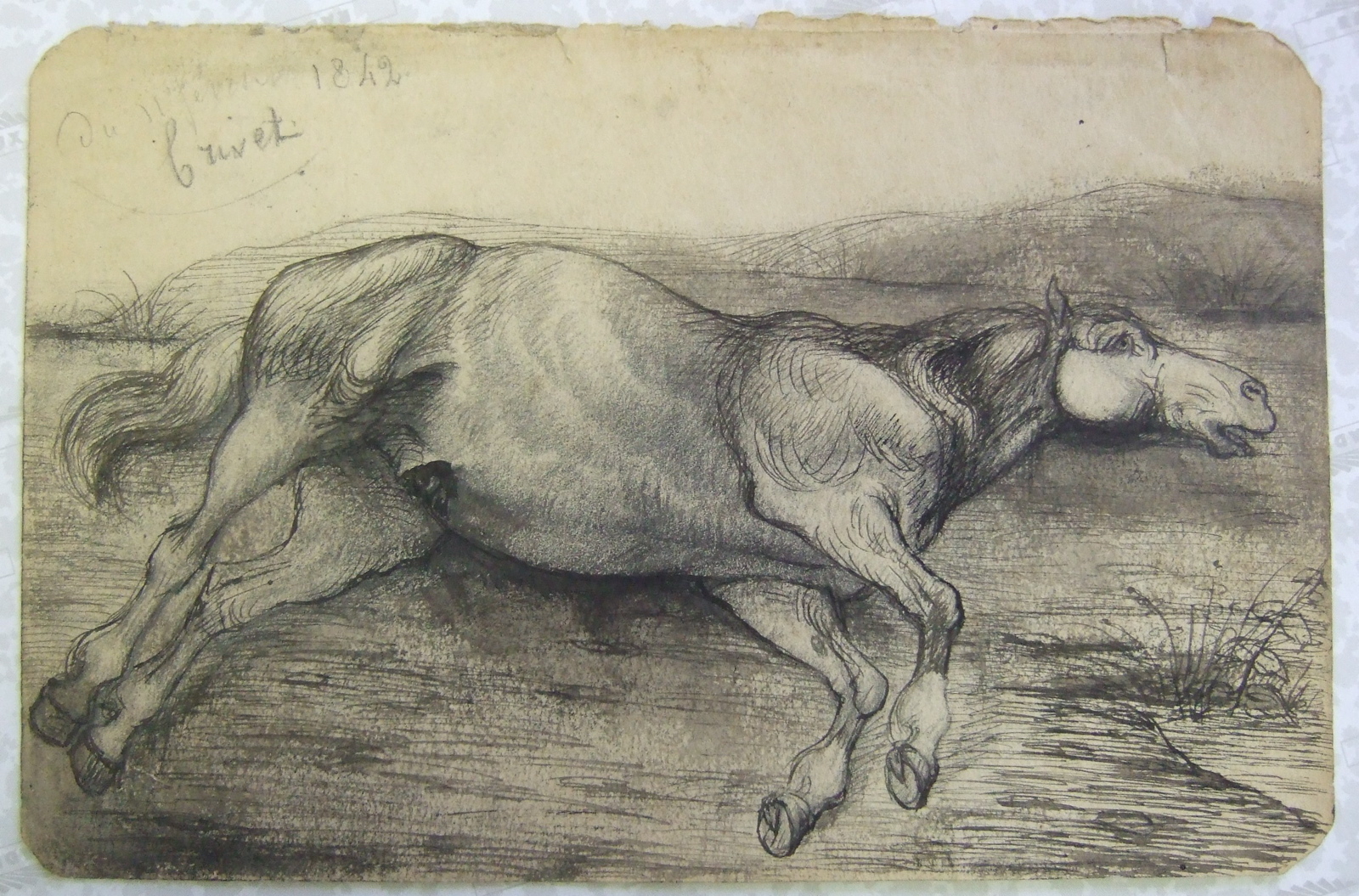 Cheval couché. (titre factice), Brivet, 1842 11 février