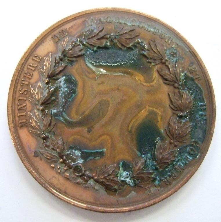 Médaille exposition universelle de Vienne, 1873 (titre factice)_1
