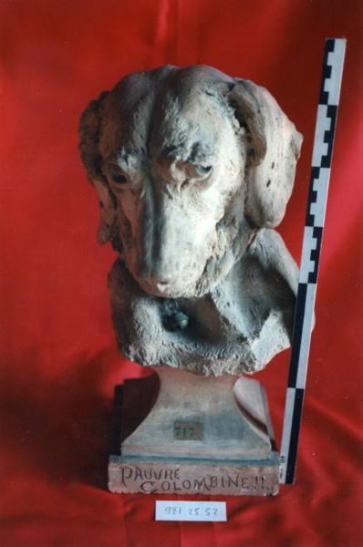 Pauvre colombine (tête de chien)_0