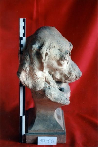 Pauvre colombine (tête de chien)_1