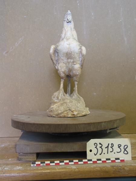 Coq, Henri Varenne, 4e quart 19e siècle, 1ère moitié 20e siècle