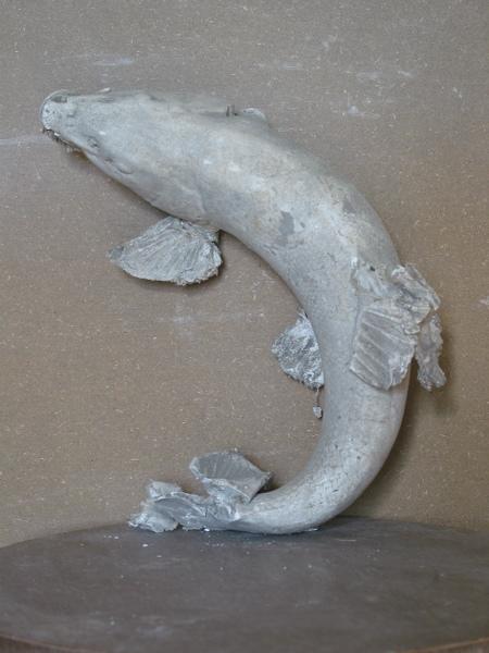 Poisson