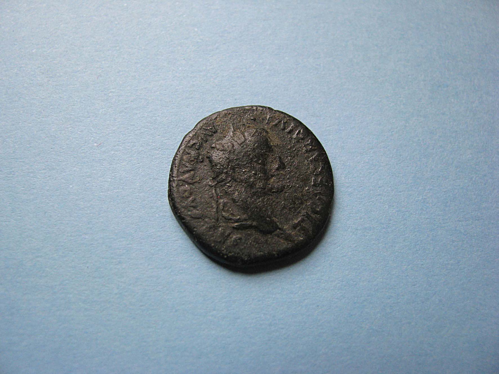 Monnaie, semis_0
