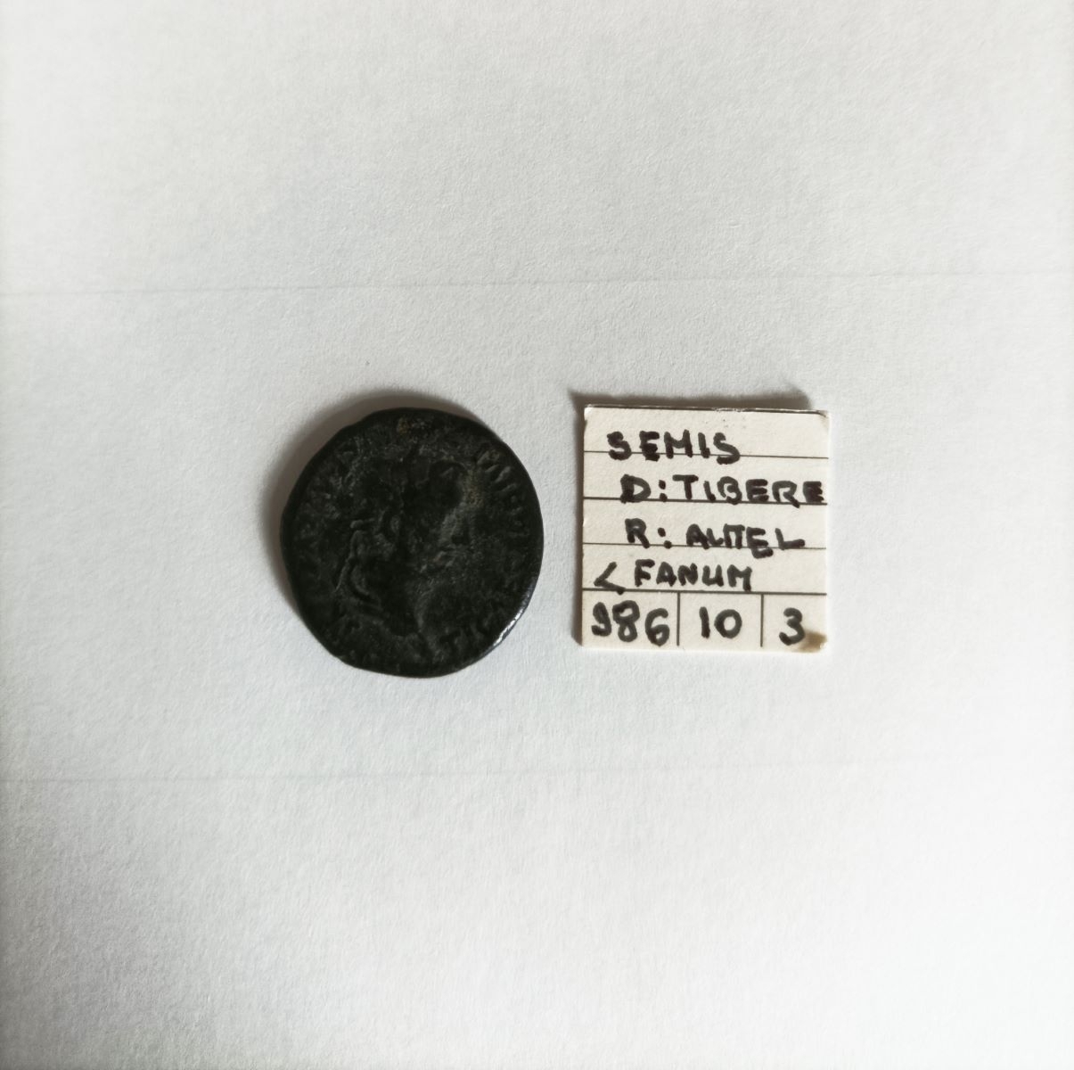 Monnaie, semis_2
