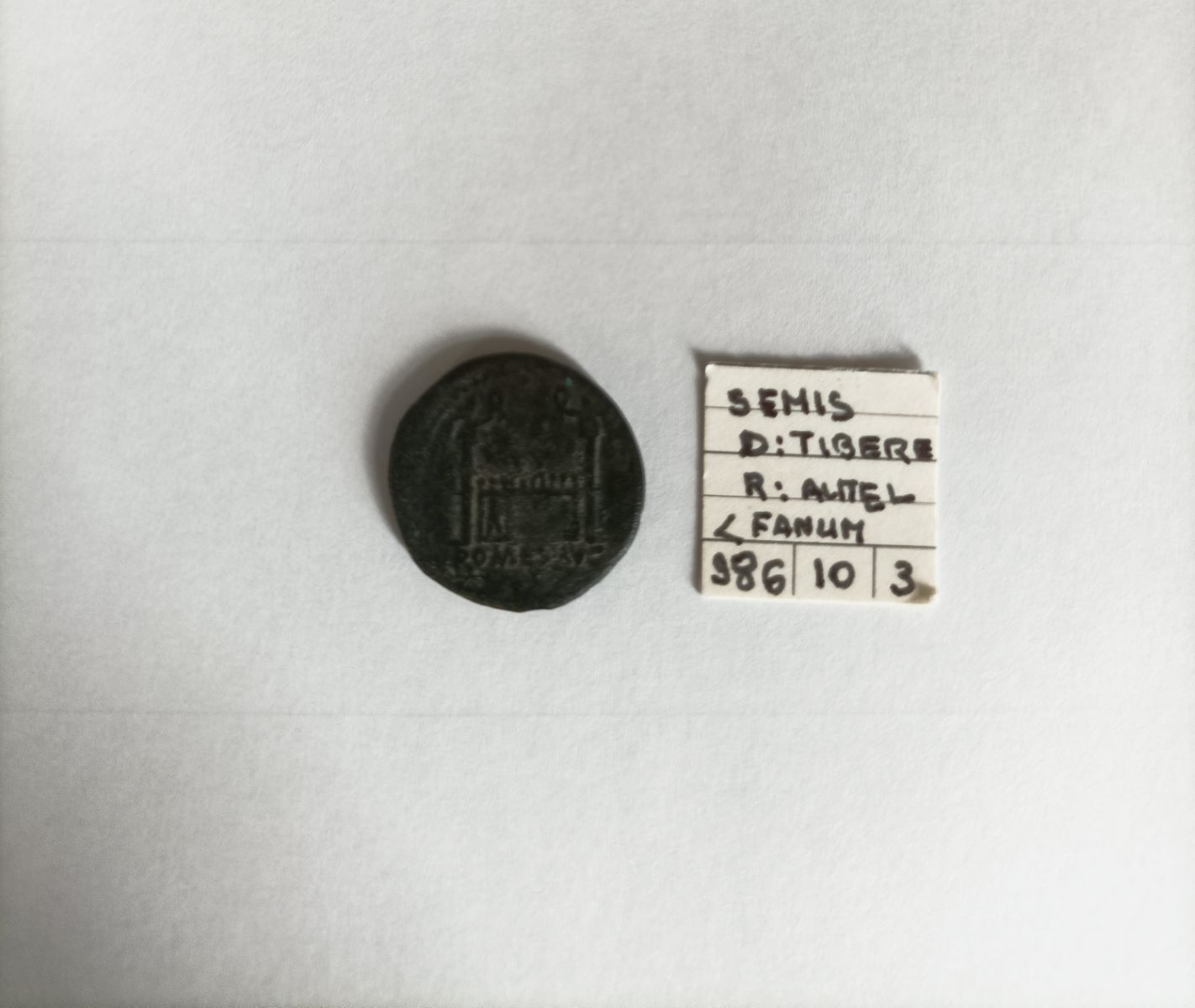 Monnaie, semis_3
