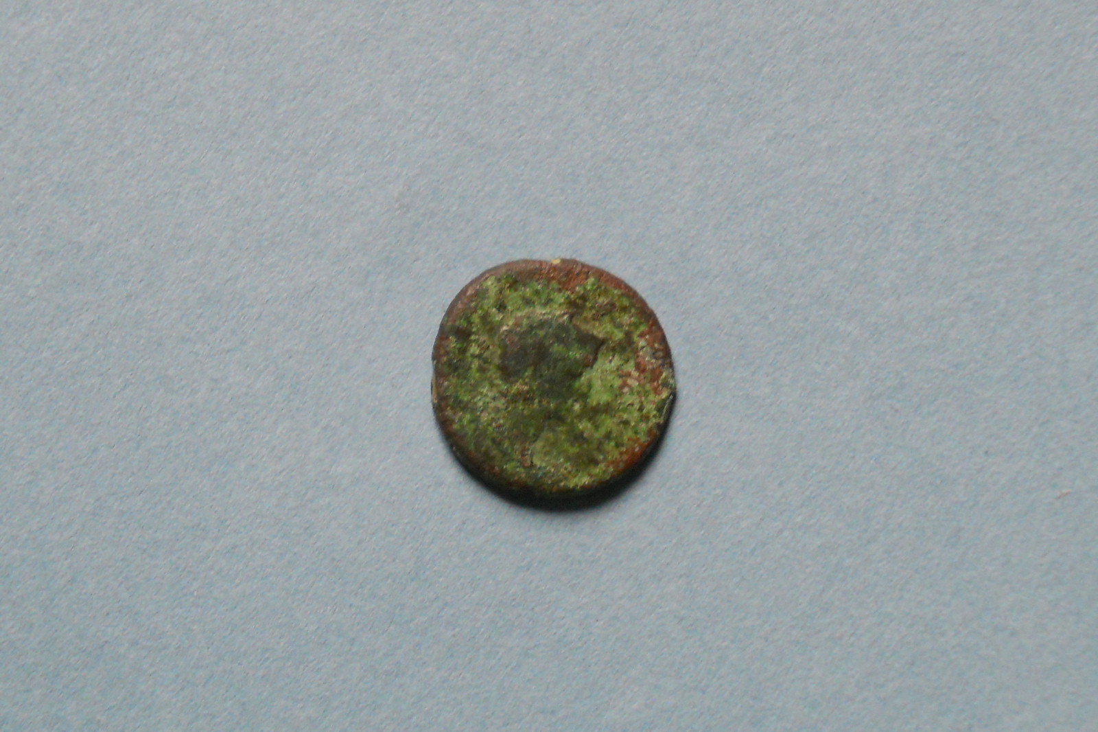 Monnaie, semis_0