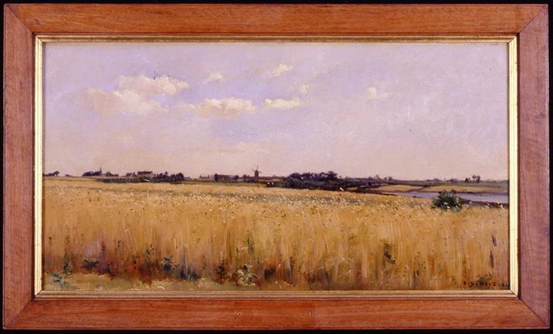 Champ de blé_0