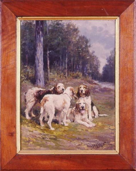 Relais de chiens dans la forêt_0